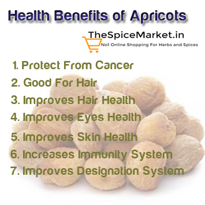 The_SpiceMarket's tweet photo. #Driedapricots are one of the traditional #driedfruit. 
Best Quality Dried Apricot Only at https://t.co/SStezy83l8. https://t.co/40uONl13Ue