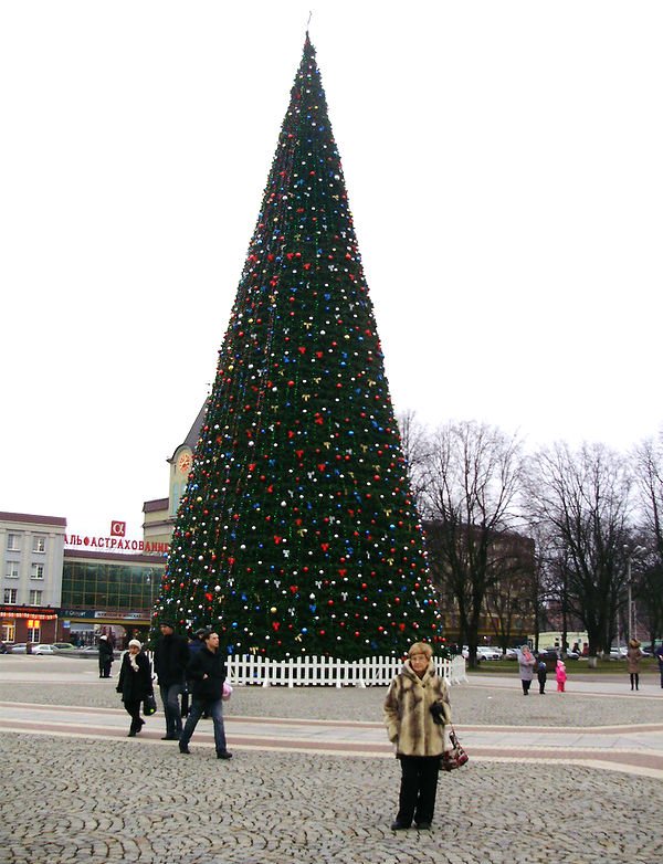 big_elka's tweet photo. #НашаЕлка2015 конкурс на лучшую новогоднюю елку. Ждем Ваши фотографии https://t.co/kIWjVJtrTr Приз - IPhone 6s https://t.co/TYyrpsPKX1