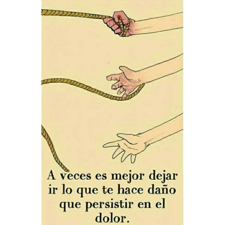 GiselleMirabal's tweet photo. https://t.co/krmMPkSP8p