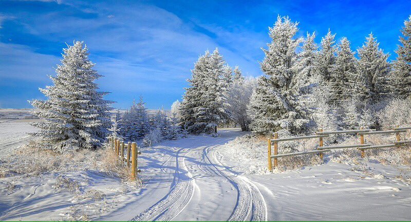 ❤️VALENTINA❤️ (@dosik563121) on Twitter photo 