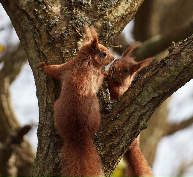 ❤️VALENTINA❤️ (@dosik563121) on Twitter photo 