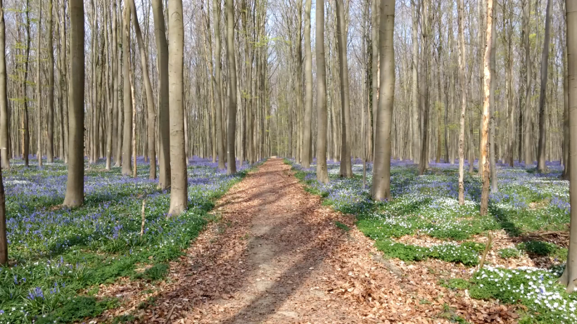 ARTEInfo's tweet photo. #OpérationClimat est devenu un documentaire : "Nos chers paradis". Merci pour vos vidéos ! https://t.co/DpiZTBig3F https://t.co/1CLnyDEt8r