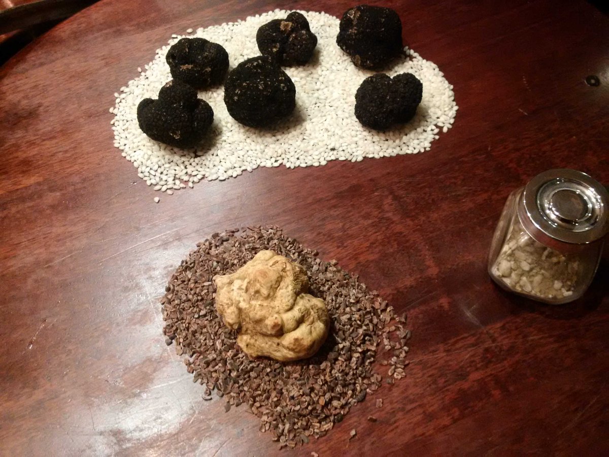 Truffle dinner in number one...can you smell?
