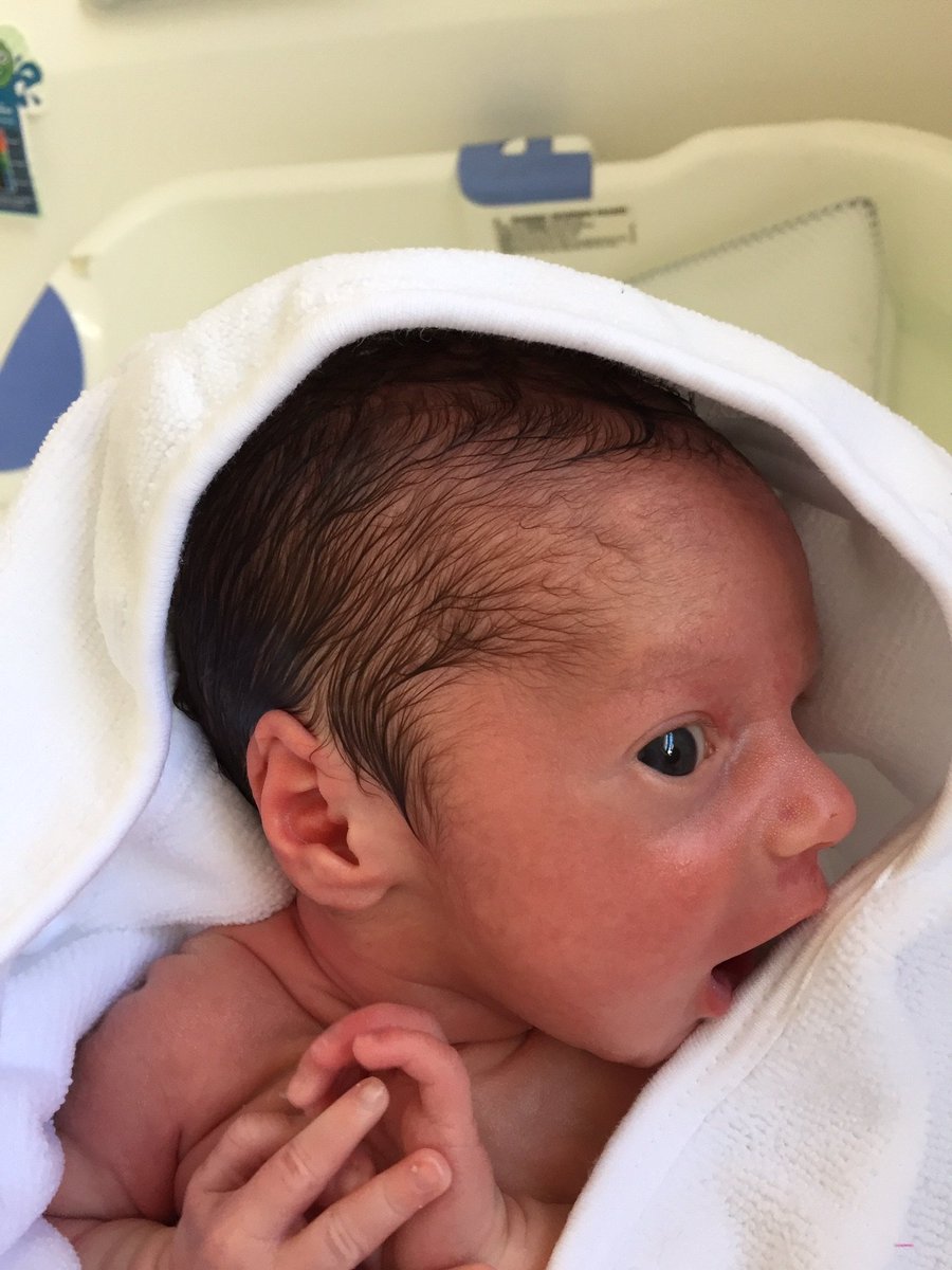 benjaminmkeller's tweet photo. Two weeks old. https://t.co/dOOg4uRt8J