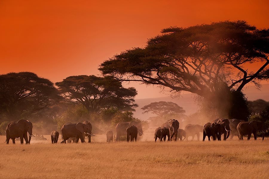 coin_africa's tweet photo. OneCoin
Say it Loud
Sing it Proud
African Sunset
South Africa
https://www.onecoin/signup/Marcsaxon
#cryptoreps https://t.co/JL9OyyamDQ