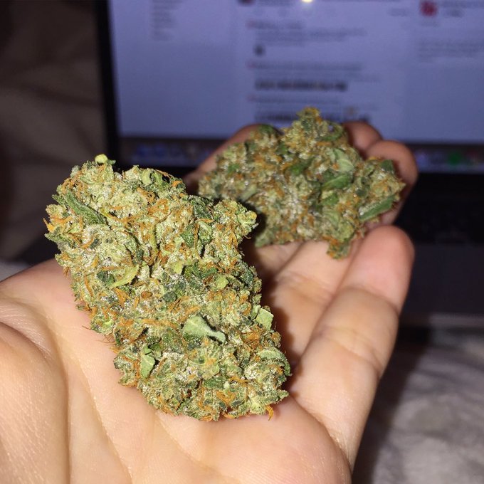 SFV OG 🔥😋🎮 https://t.co/aFKV3FVrvQ<a href="/tag/choices"class="tags"><span>#choices</span></a>