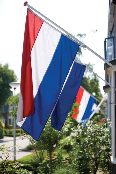 FutureIdeasOrg's tweet photo. Share why Holland is great for #business! Join me by becoming a #Dutch Digital Ambassador - https://t.co/ENUYcRvIyr https://t.co/qdN6uSRGBP
