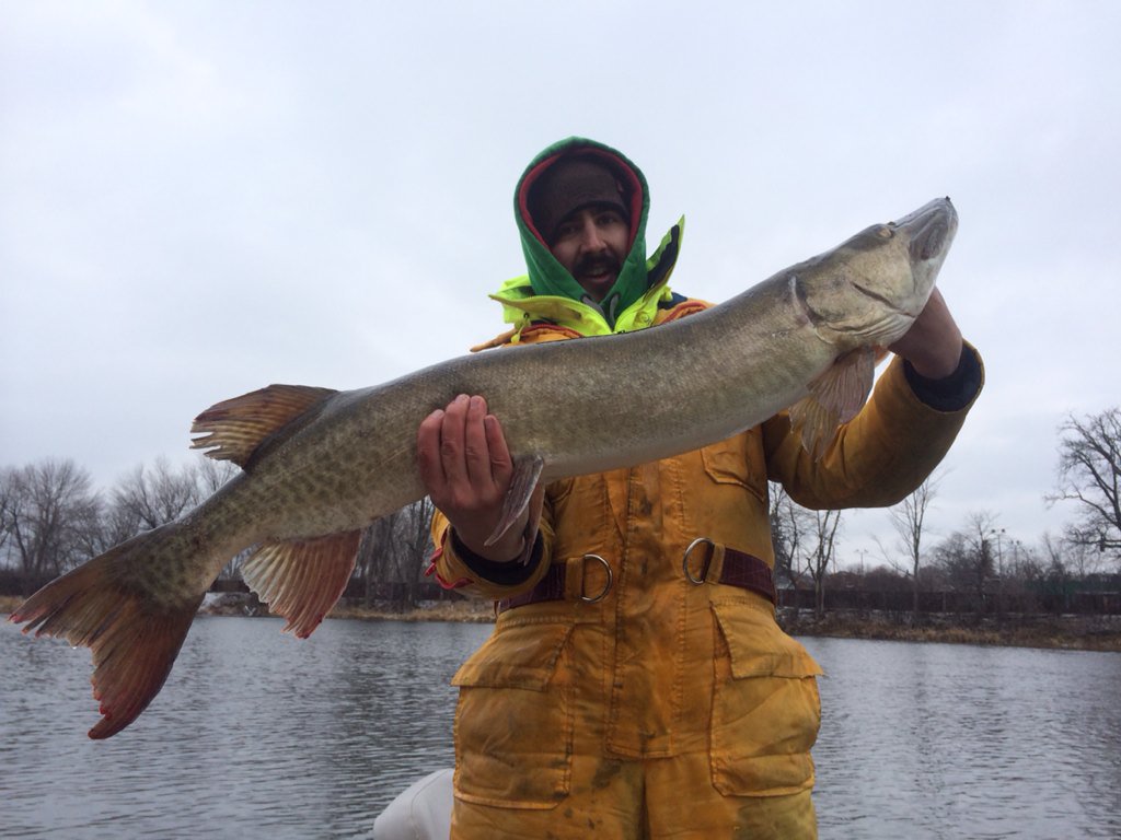 Musky_Pikey's tweet photo. @LisaOutdoors @SJC_fishy @CalebHasler https://t.co/9aQUAV6oJa