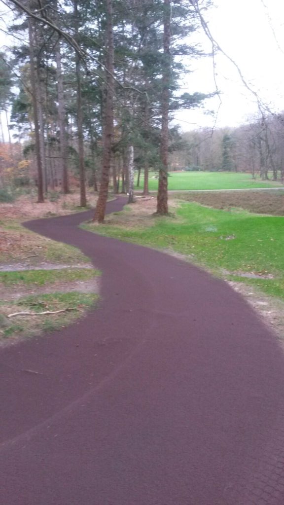 ArthurBerends's tweet photo. Blijven verbeteren van paden @enk_groenengolf @Sallandsche droge voeten is prettig golfen. Gasten centraal⛳️ https://t.co/8EXrFJr5A0