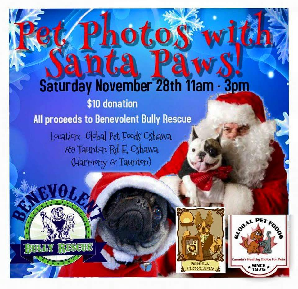 twpittered's tweet image. #PetPhotos with Santa #BenevolentBullyRescue #fundraiser #Oshawa #charity #dogsoftwitter #bulldogstweet