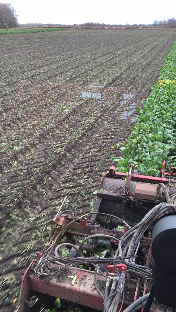 david_mattocks3's tweet image. #Agrifac big six making a superb job in the wet