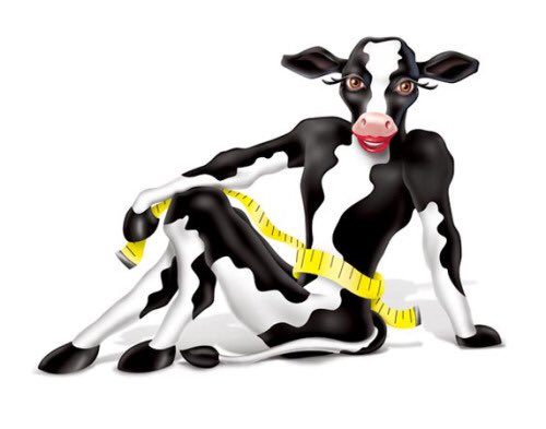 Image result for sexy cow