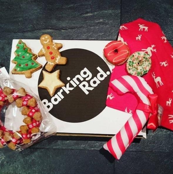 SMOKEYFORMBY's tweet photo. RT @Barking_Rad: Like to bag your dog a #BarkingRad #Xmas box? Follow and RT to enter our #comp. https://t.co/KJMsWzl0Jh