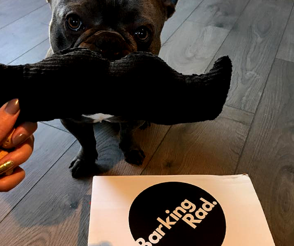SMOKEYFORMBY's tweet photo. RT @Barking_Rad: Like to bag your dog a #BarkingRad #Xmas box? Follow and RT to enter our #comp. https://t.co/KJMsWzl0Jh