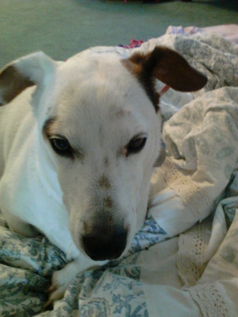 Kitcat1207 tweet picture