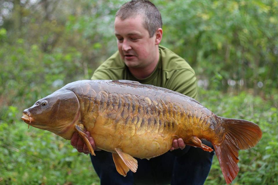 ambaits's tweet photo. A recent 30lbs cracker from Priory Park in Southend for Chas Lock #baitgenius #everylakelovesabitofbounty https://t.co/h09LP8TWF8