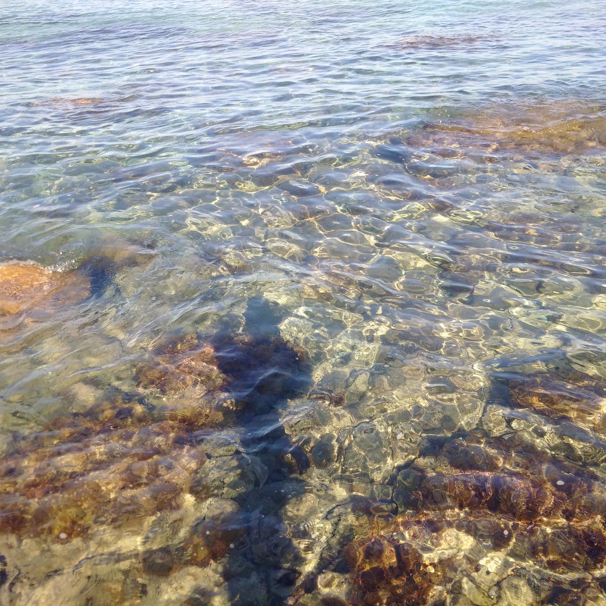 brontopronto35's tweet photo. @hill_a_palooza ooooooh it's so good and chilled!! Look at this ocean... nothing can eat you or rip you away!!! ^_^ https://t.co/ORS2WJGDCq