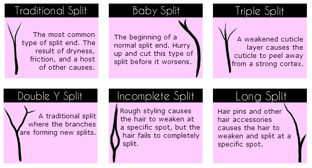 Different Types of Split Ends and What They Mean