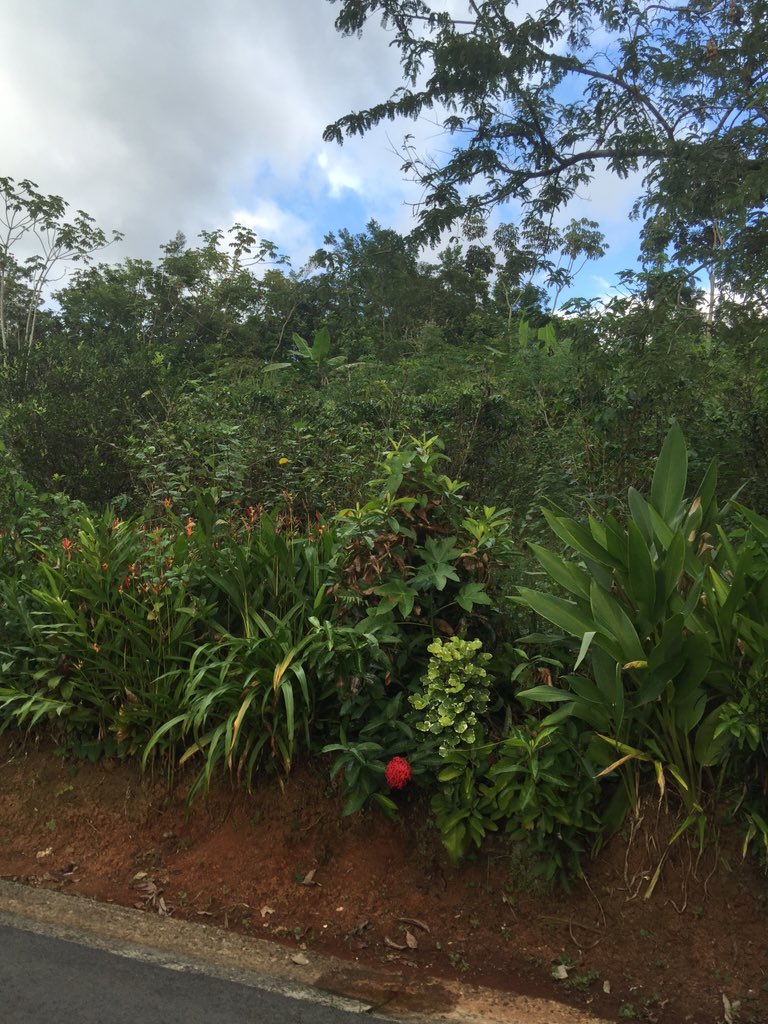 jonpop's tweet image. The view from Antonio's family home.