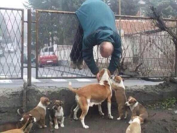 Me when I see dogs