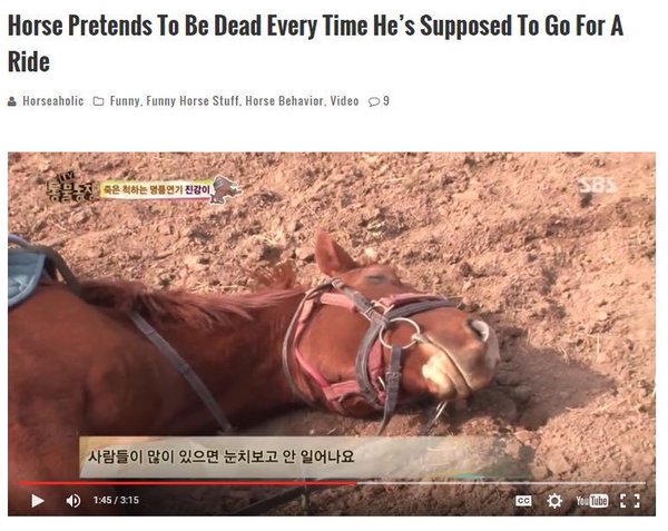 8_Semesters's tweet photo. friend: "hey do you wanna go out"

me: https://t.co/7EaUVG1y36