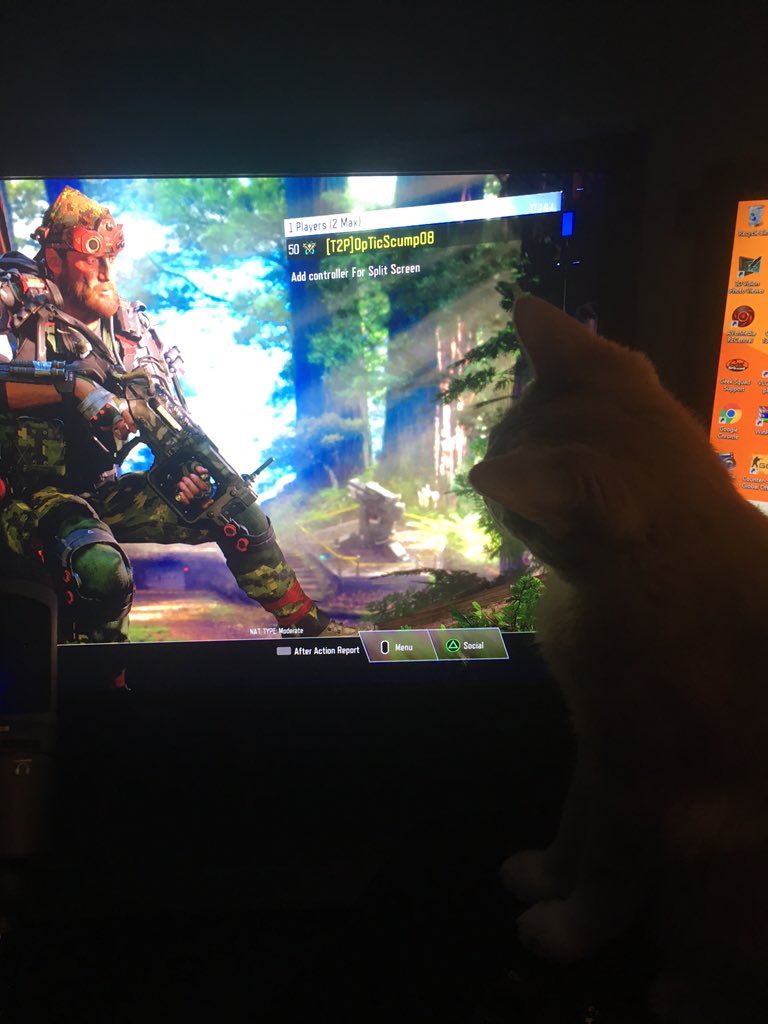 scump's tweet image. Cats love call of duty