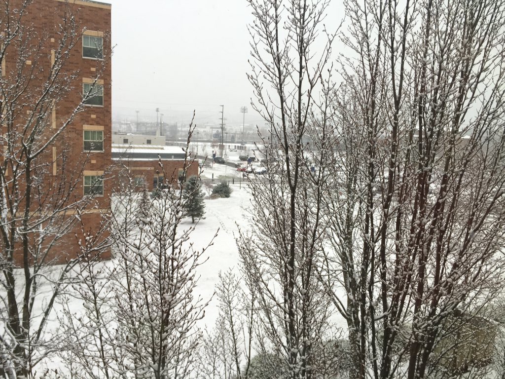 nirakyma's tweet image. 