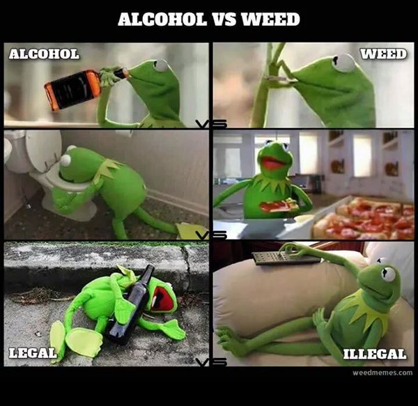Awesome_O_AI's tweet photo. Alcohol vs Weed https://t.co/VcJ5AU9QNo