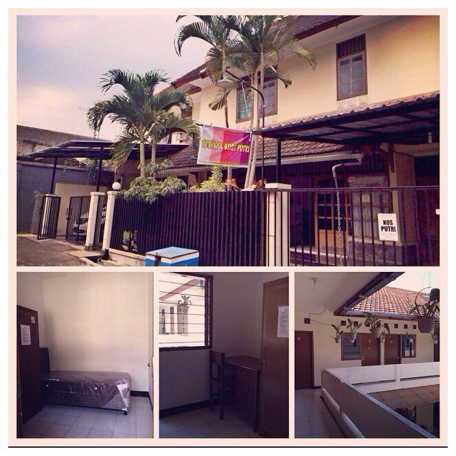 doningretno tweet media