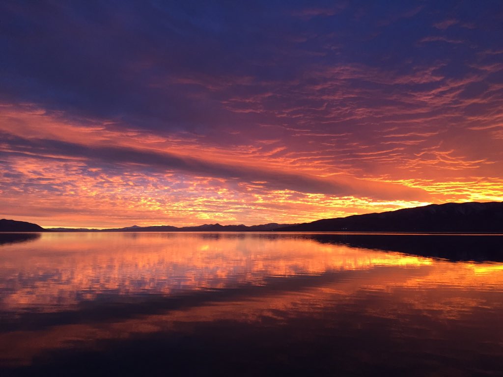 zoelaz's tweet image. Unedited!!! 😍