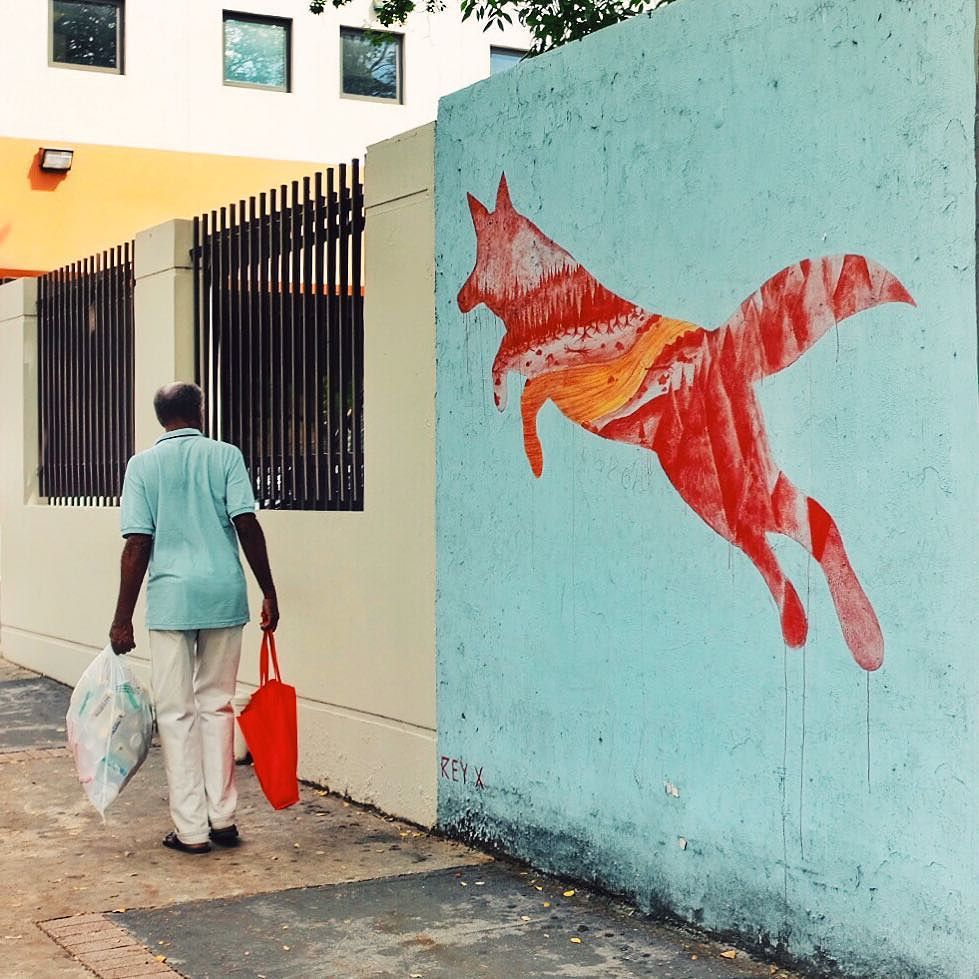 vcamed's tweet photo. • Acompañante #colormatch #RioPiedras #🇵🇷 | #livetravelchannel • — #vcamed #FujifilmX_US #… https://t.co/aSuBagFX4M https://t.co/lFqoP7rzzo
