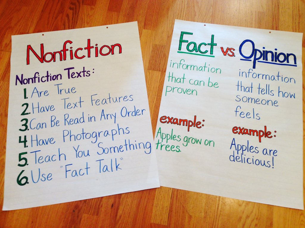 Fact And Opinion Anchor Chart