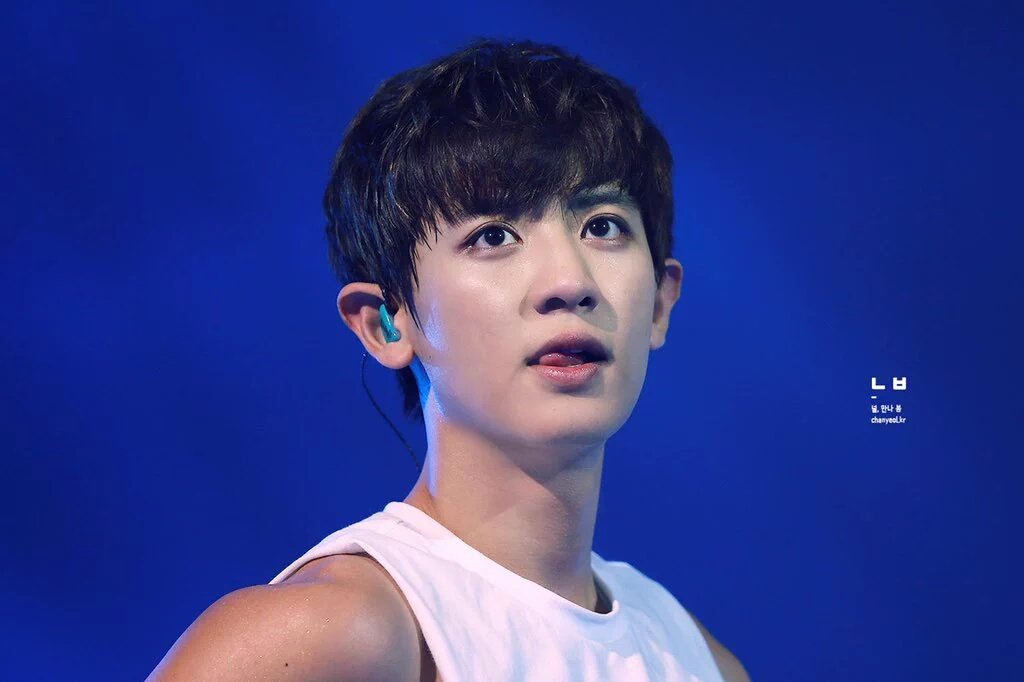 EXO GLOBAL tweet media