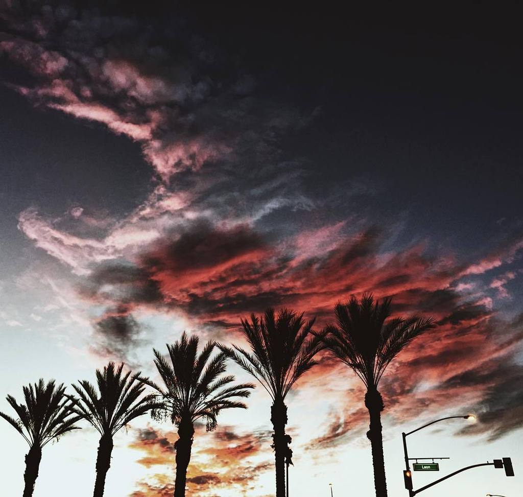 CaTurfPros's tweet image. iPhone shot!

#sandiegophotographer #sandiegoreader #socalshooters #sandiego_ca #sdphotofriday  #igerssandiego #ig_…