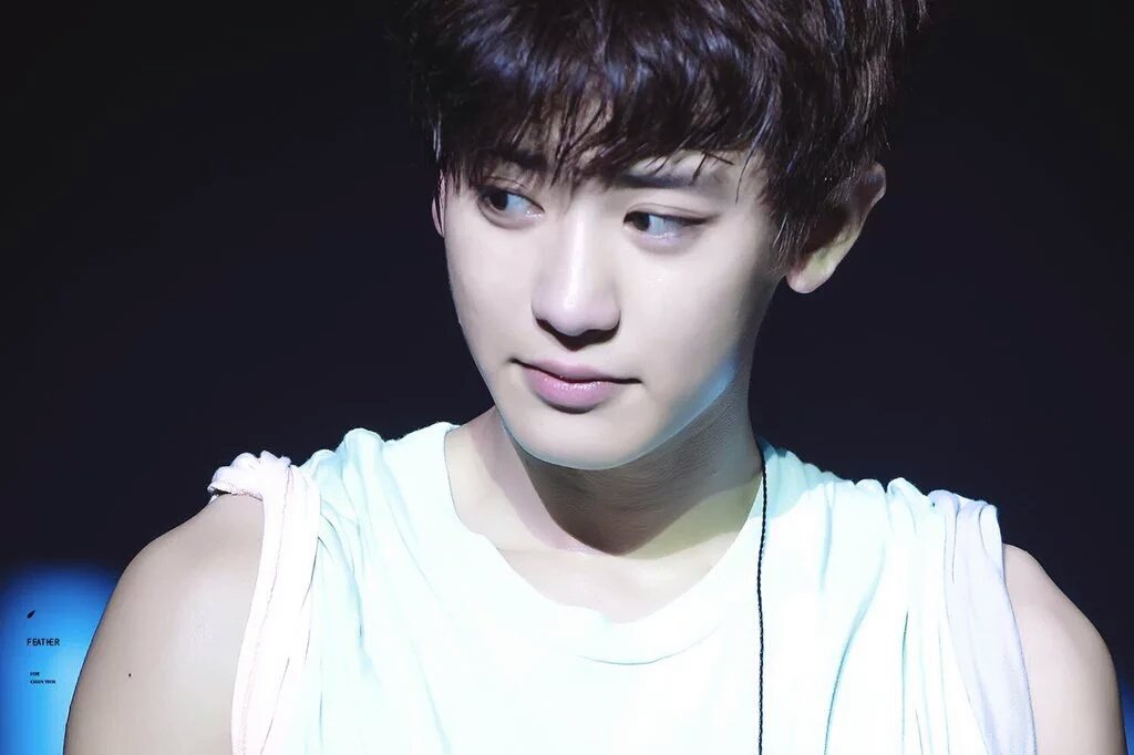 EXO GLOBAL tweet media