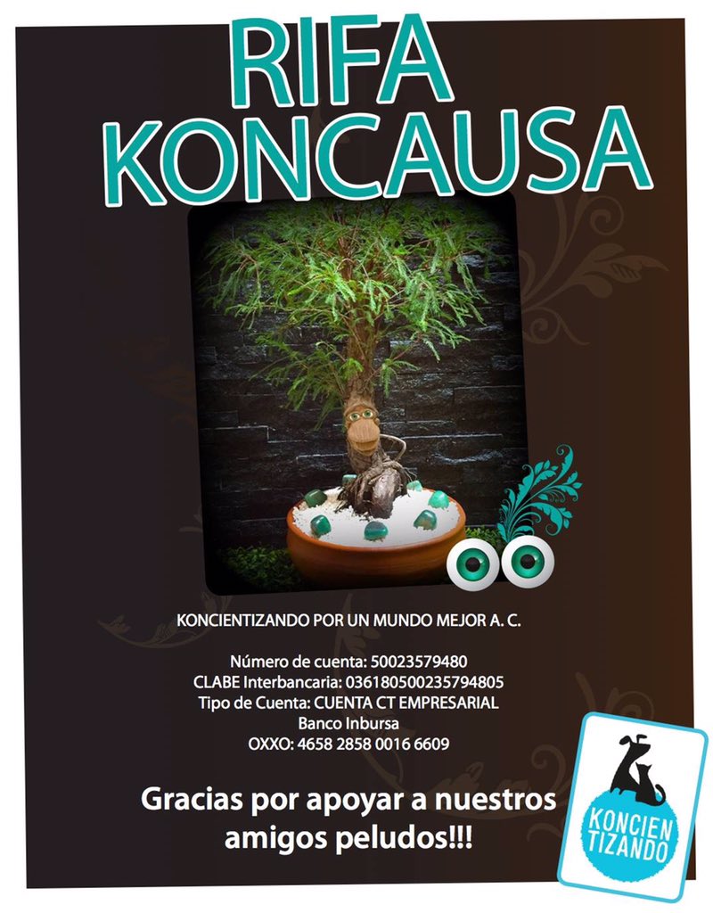 Mandragonaz's tweet photo. Participa en la #Rifa a beneficio de @koncientizando!! 🐶😺
https://t.co/kWTqL3mrXp
Apoya, comparte y participa!!! https://t.co/sMGMCF8DHB
