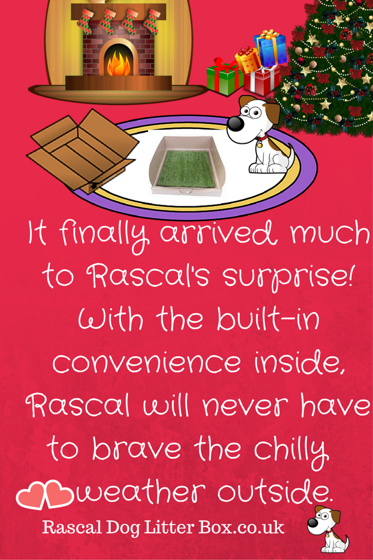 Pelz Lautsprecher Sofa rascal dog litter box Strom Theoretisch Verwirrt