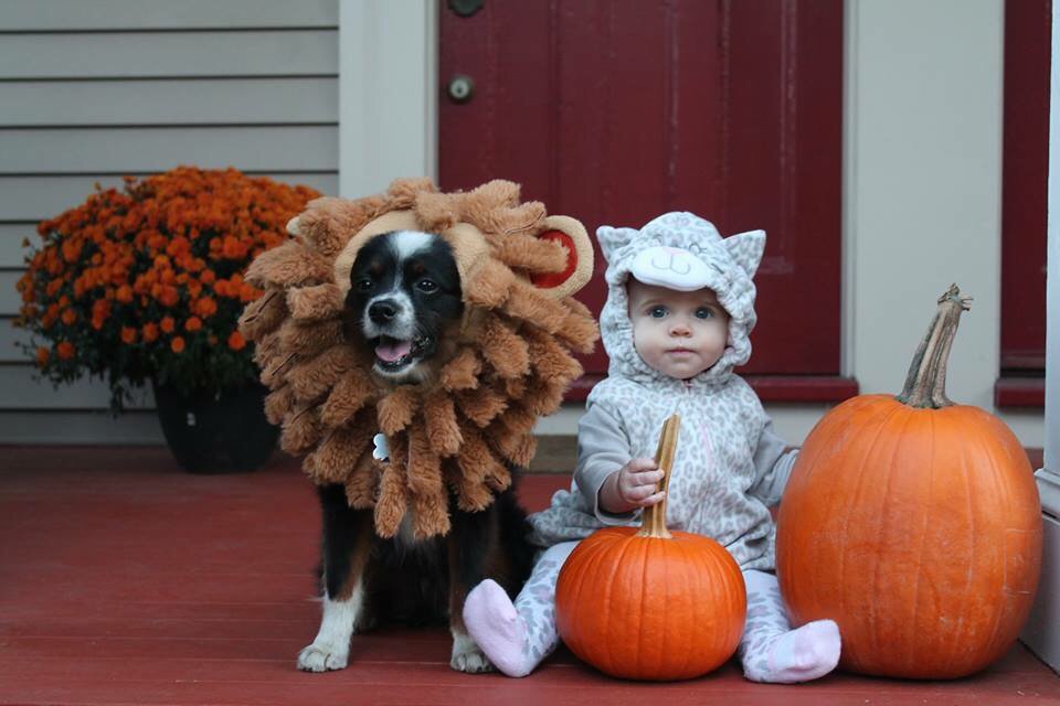 My first tweet! Baby and dog on Halloween in Providence. For the people category in the #projophotocontest16