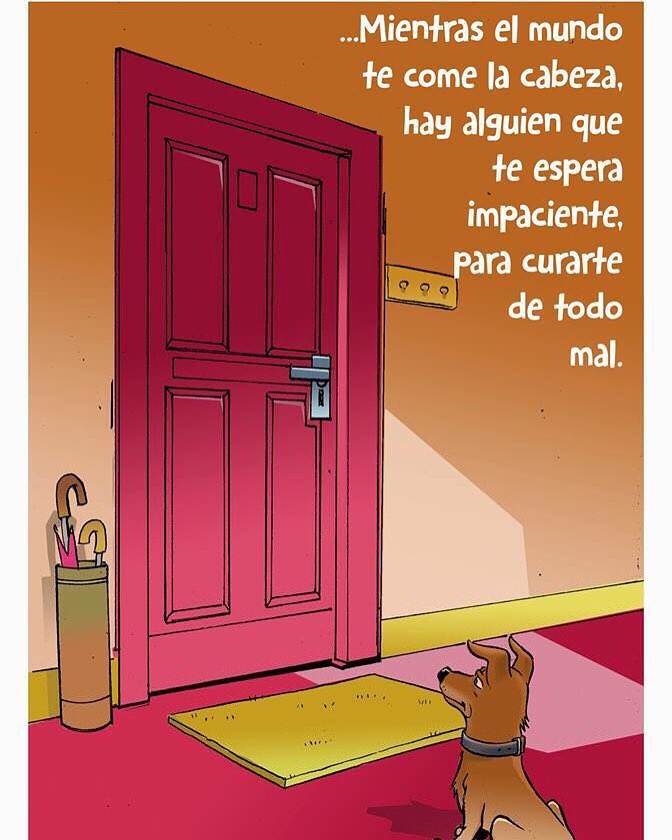 BelenciniMontes's tweet photo. #LasMascotas  Te curan de todo mal... https://t.co/r05ENOp80Q