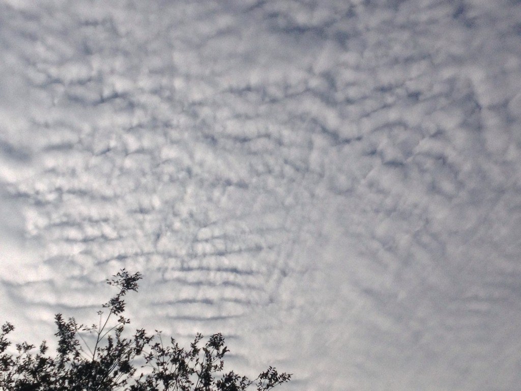 SteerMark's tweet photo. Can't see it? You can't miss it...
#Geoengineering #Haarp #Nexrad #Doppler #Eiscat #Chemtrails #Crosswaves https://t.co/ma5NypoHlJ