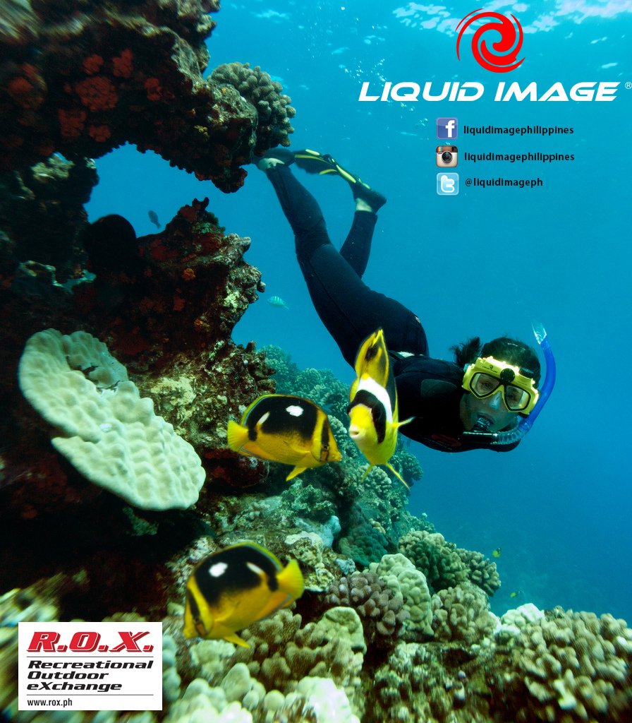 liquidimageph's tweet photo. Capture your underwater life with Liquid Image 304 Explorer Series Camera Mask @ ROX BHS/CebuAyala/MarqueeMall https://t.co/1dhgGzzdZN