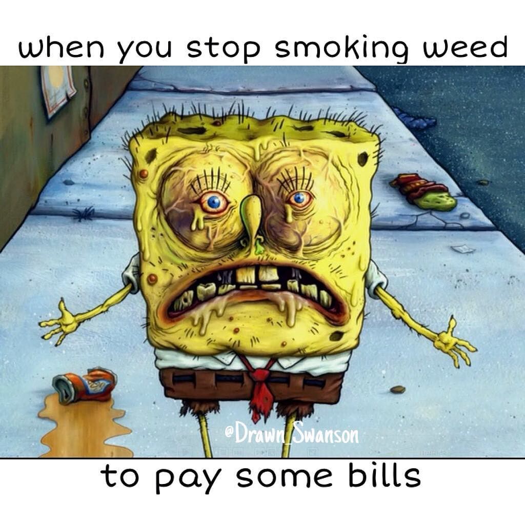 spongebob_cult's tweet photo. #potheadsociety #cannabis #dankonly #kronic #dailycannabis #bluntburningcrew #abudlife #weedpraylove #kushlyfe #ku… https://t.co/3LIkTaj81F