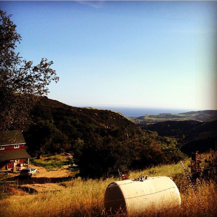 CircleBarB's tweet photo. Who could ever get sick of this view? #santabarbara #regugiocanyon #duderanch #circlebarb #viewonpoint https://t.co/bPwJVEWbE6