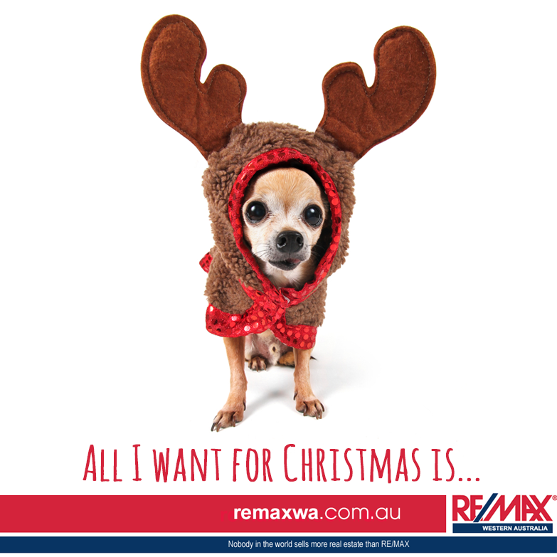 remaxwa's tweet photo. It's exactly one month until #Christmas! Comment below &amp; tell us what is on your Christmas Wishlist! #wishlist https://t.co/gJg1FgTpU8