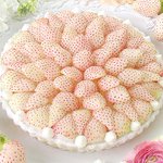 食べるのが持ったないくらい美しい !【白イチゴのタルト】