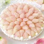 食べるのが持ったないくらい美しい !【白イチゴのタルト】