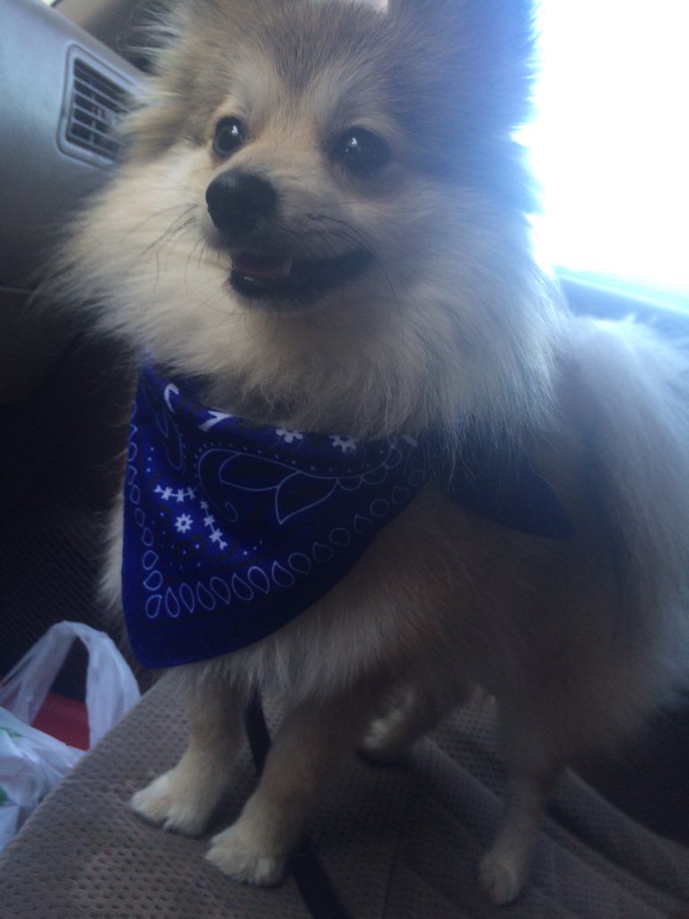 My little big boy 💙