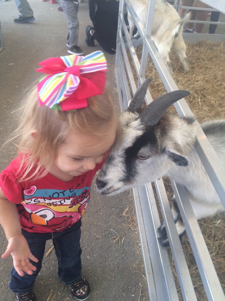 For the love of goats.