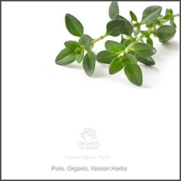 Organic_Islands's tweet photo. https://t.co/YJPWuFZgrZ