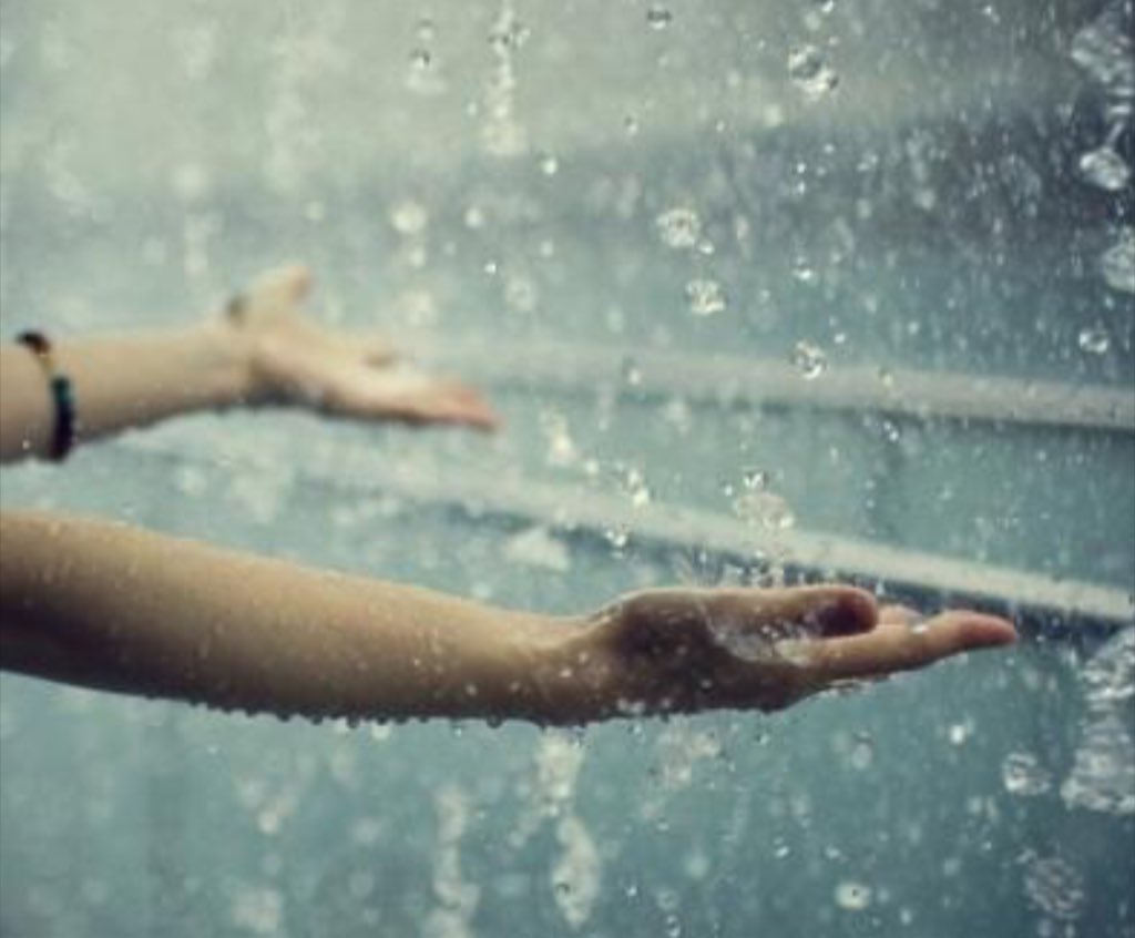 Al_anood333's tweet photo. ي صباح البرد والجو الجميل ، يَ جمآلك يَ بدآيآت الشتآء..☔️🎵 https://t.co/h1cNyfBX8F”